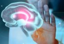 MINDFULNESS PARA PACIENTES CRÓNICOS: MEJORAR LA CALIDAD DE VIDA DESDE LA MENTE
