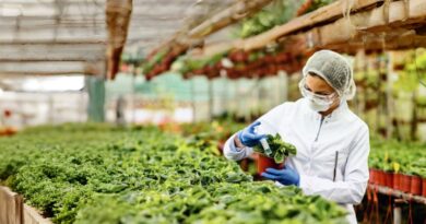 ACUSA EU TRABAS EN AGROTECNOLOGÍA
