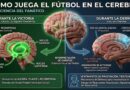 ¿CÓMO JUEGA EL FUTBOL EN EL CEREBRO?
