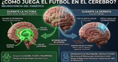 ¿CÓMO JUEGA EL FUTBOL EN EL CEREBRO?