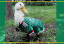 LE ROBAN LOS ZAPATITOS AL PATO MERLÍN PARA EXPLOTAR LEGALMENTE SU IMAGEN