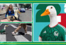 ¿QUIÉN ES PATO MERLÍN? EL PERSONAJE VIRAL QUE CAUTIVÓ AL MUNDIAL