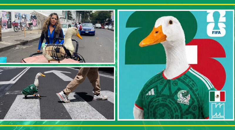 ¿QUIÉN ES PATO MERLÍN? EL PERSONAJE VIRAL QUE CAUTIVÓ AL MUNDIAL
