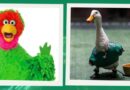 SINOALOA VE REENCUENTRO ENTRE ABELARDO DE PLAZA SÉSAMO Y EL PATO MERLÍN POR ZAPATITOS PERDIDOS
