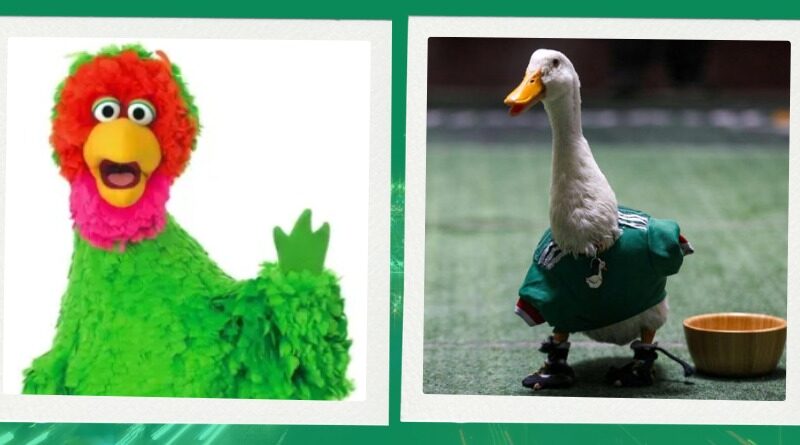SINOALOA VE REENCUENTRO ENTRE ABELARDO DE PLAZA SÉSAMO Y EL PATO MERLÍN POR ZAPATITOS PERDIDOS