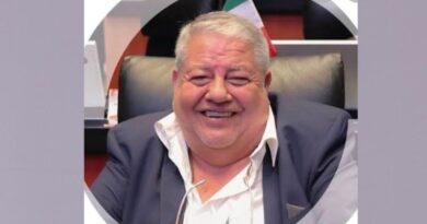 HUERTA A LA PRESIDENCIA DEL SENADO