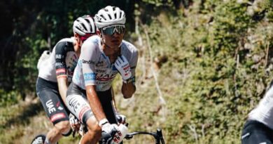 EN LA ETAPA 18 DEL TOUR EMBESTIDAS A RESERVA DEL TORO