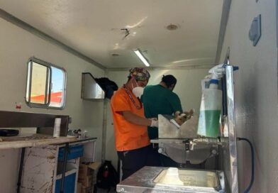 ESTERILIZACIONES GRATUITAS EN PUEBLA: 18 MIL PERROS Y GATOS BENEFICIADOS