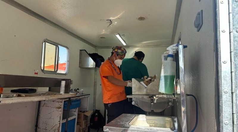 ESTERILIZACIONES GRATUITAS EN PUEBLA: 18 MIL PERROS Y GATOS BENEFICIADOS
