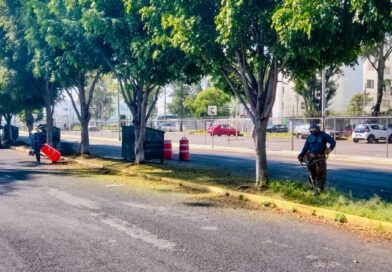 LA RENOVACIÓN DE CAMELLONES FORTALECE LA IMAGEN URBANA DE PUEBLA