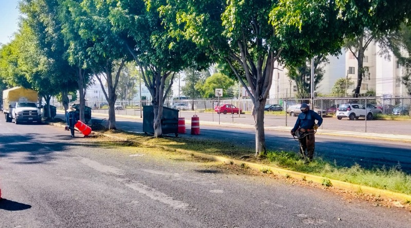 LA RENOVACIÓN DE CAMELLONES FORTALECE LA IMAGEN URBANA DE PUEBLA