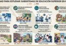 LA VARIEDAD DE SUBSISTEMAS EN EDUCACIÓN SUPERIOR