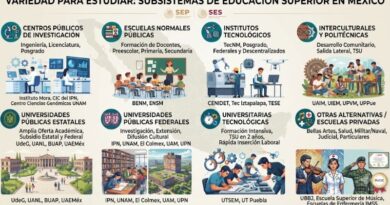 LA VARIEDAD DE SUBSISTEMAS EN EDUCACIÓN SUPERIOR