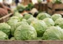 RESPONSABILIZAN A LECHUGA DE MÉXICO EN BROTE DE DIARREA EU