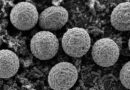 RETRACTACIÓN DE FDA POR CYCLOSPORA DETECTADO EN LECHUGA; PESQUISA PROSIGUE