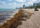 UN RÉCORD ES LO QUE FLORIDA PERSIGUE