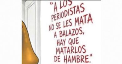 ¡EL ESTADO SOY YO!, NAHLE