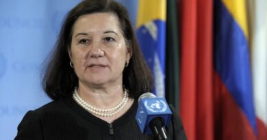 EMBAJADORA BRASILEÑA: LA UE LE RETIRA LA VISA