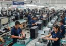 EN EL SECTOR DE CÓMPUTO SE GENERA POCO EMPLEO