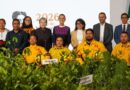 LA SEQUÍA, PÉRDIDA FORESTAL Y TALA ILEGAL EXPUESTA POR GOBERNADORES