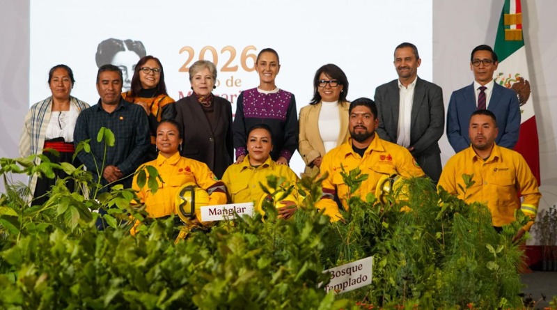 LA SEQUÍA, PÉRDIDA FORESTAL Y TALA ILEGAL EXPUESTA POR GOBERNADORES