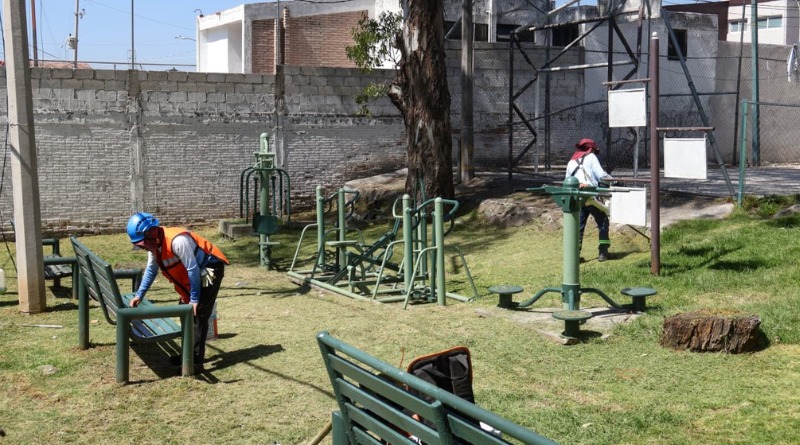PARQUES DE PUEBLA: AYUNTAMIENTO REFUERZA PODA Y TAREAS DE LIMPIEZA