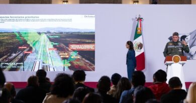 APUESTA FERROVIARIA: 750 MIL MDP PARA REVIVIR LOS TRENES DE PASAJEROS
