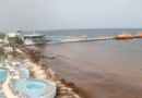 ALERTA SEMAR POR SARGAZO EN DICIEMBRE