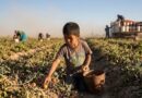 INFANCIAS ROBADAS: LAS CIFRAS DEL DESAMPARO