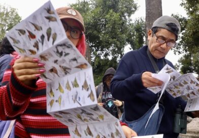 INVITAN A CUIDAR ÁRBOLES EN CENTRO HISTÓRICO