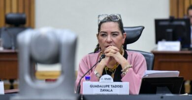 SEGOB CITA A TADDEI TRAS DENUNCIAS