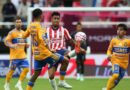 UNA TARDE REGULAR PARA LOS TIGRES